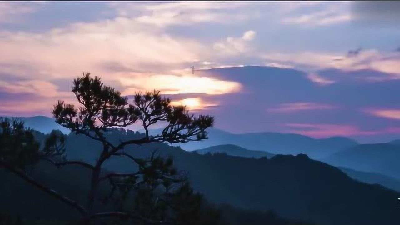 次元喵
