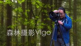 咨询汽车违章处理周六周日上不上班打什么电话？游戏画面